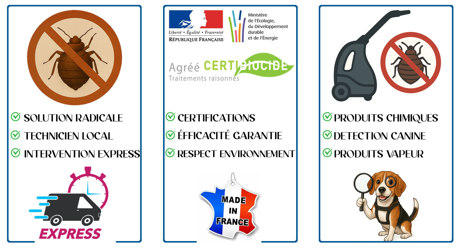 Punaises de Lit La Queue en brie